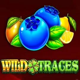Wild Traces online slot from Amusnet Interactive – play at possucasino.org
